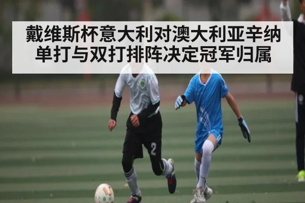 戴维斯杯意大利对澳大利亚辛纳单打与双打排阵决定冠军归属 | cc7c7.app